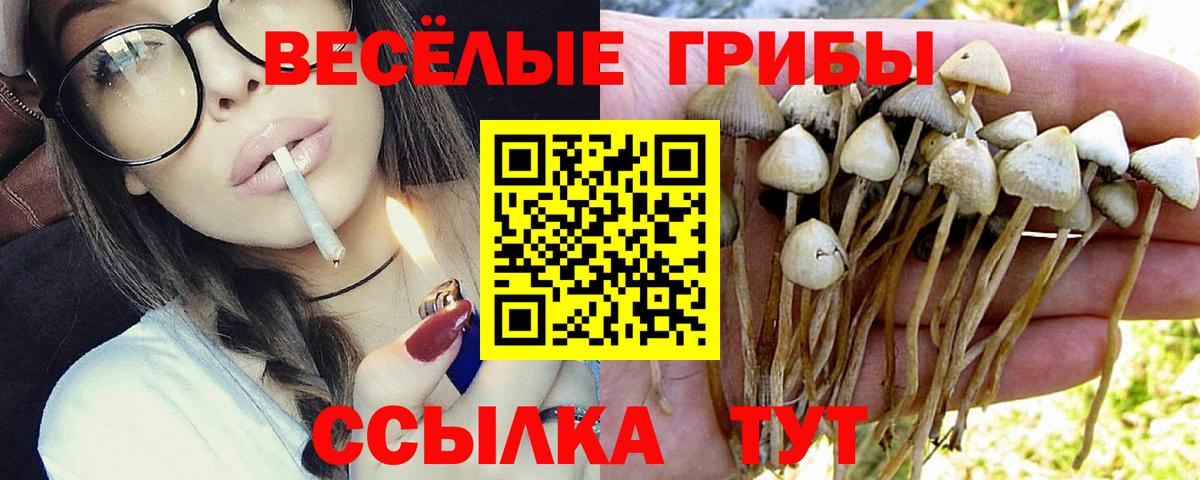 Псилоцибиновые грибы Magic Shrooms  где найти   Грозный  Вход с VPN  Псилоцибиновые грибы прущие грибы 
